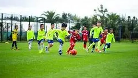 开元体育 资讯 095229 j47